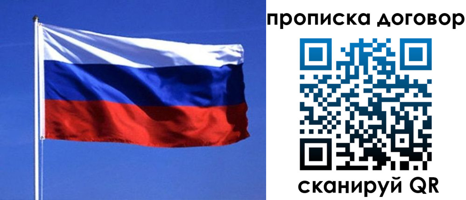 прописка поиск в Зеленогорске